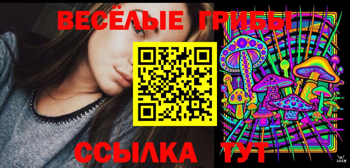 Псилоцибиновые грибы прущие грибы  Вход с VPN  Шелехов 
